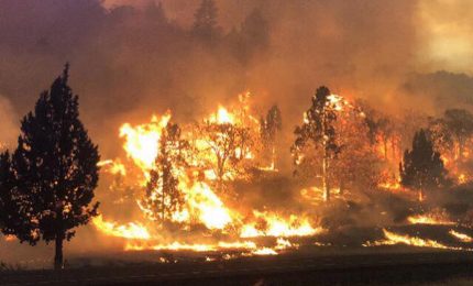 Brucia la California, vasti incendi. Evacuate migliaia di persone