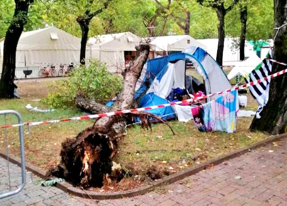 Maltempo, albero cade su una tenda in campeggio: morte 2 sorelline