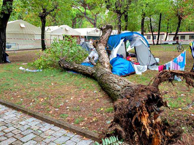 Maltempo, morte due sorelline in un campeggio: perito esaminerà l’albero