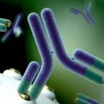 Anticorpi monoclonali