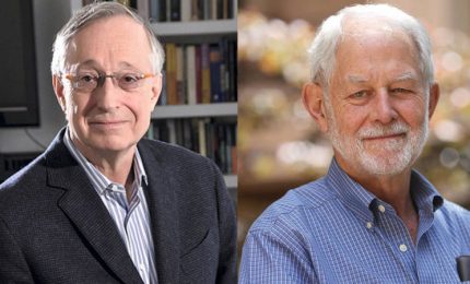 Il Nobel 2020 all'Economia agli statunitensi Milgrom e Wilson