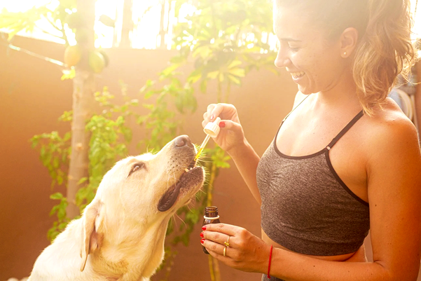 La Cannabis utile per la salute umana e animale