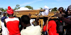 2Koshobe, vicino a Maidugurimortinigeria