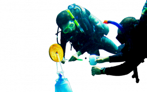 maresubfondale-removebg-preview