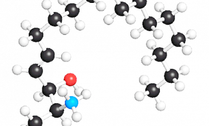 Sfingosina-1-fosfato: la molecola che ci può salvare dal Covid-19
