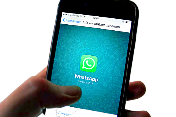 WhatsApp lancia nuovo servizio: funzione chat cliente-azienda