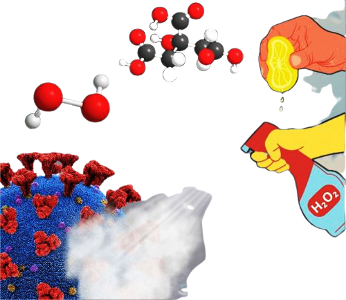 11Figura_1-removebg-preview-1-removebg-preview