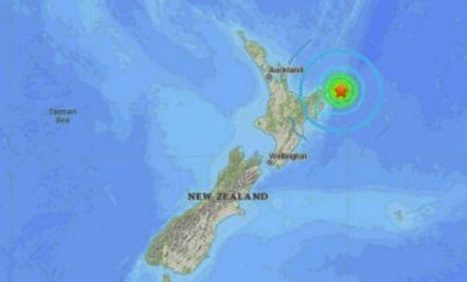 Nuova Zelanda scossa da forte terremoto, evacuazioni e allarme tsunami