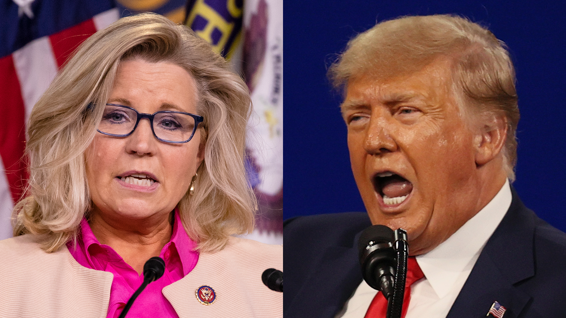 Lo scontro fra Liz Cheney e Trump sul futuro del Partito Repubblicano