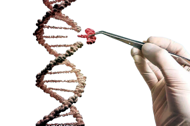 genetica-medica-removebg-preview