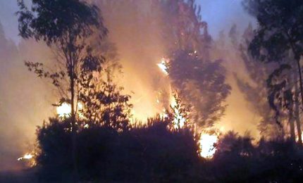 L'Italia che brucia: incendi in Sicilia, Calabria e Sardegna