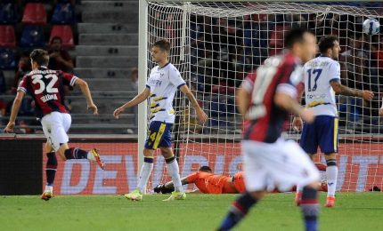 Bologna-Verona 1-0, la risolve Svanberg