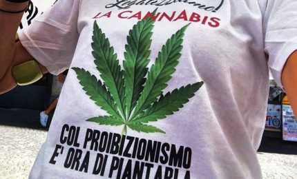 Cannabis, sì referendum su depenalizzazione. Si vota on line