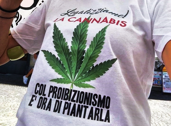 Cannabis, sì referendum su depenalizzazione. Si vota on line