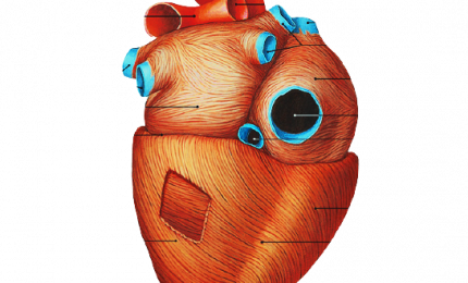Post Covid, cardiopatia dilatativa è la malattia del futuro