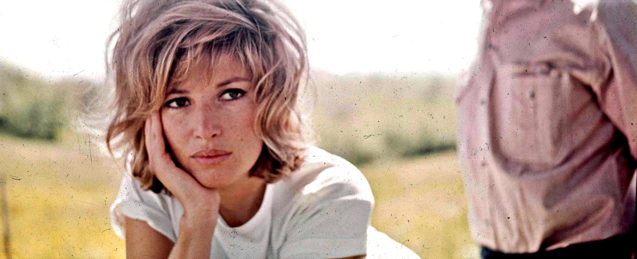 monicavitti