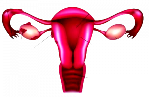 endometriosi-edy-virgili-removebg-preview