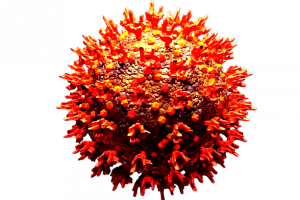 covidomicrom-removebg-preview