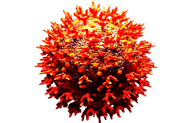 covidomicrom-removebg-preview