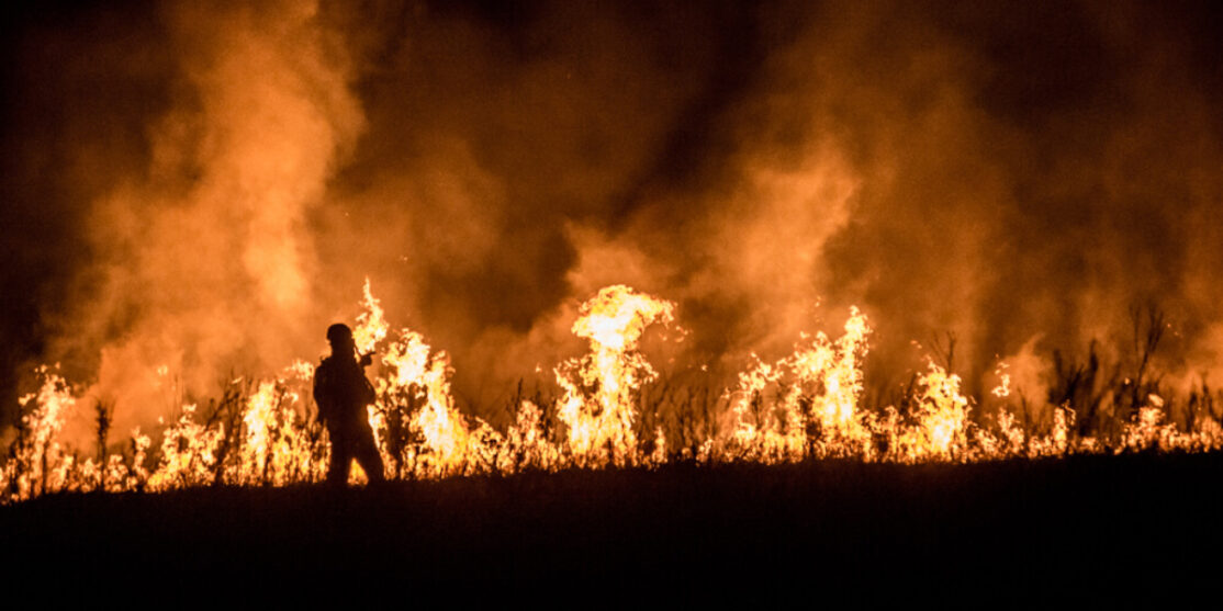 Incendi boschivi sempre più gravi nel 2021 e 2022