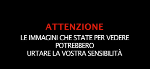 vostrasensibilità
