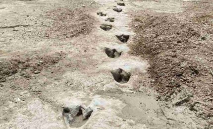 La siccità fa riemergere impronte di dinosauro in Parco in Texas