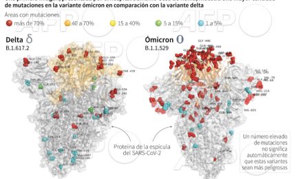 Ecco come spike di Omicron interagisce con anticorpi umani