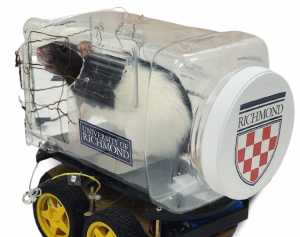 topi-guida-1-removebg-preview