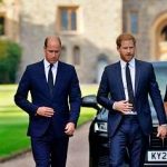 Il mediatore di Carlo: un avvocato diplomatico per ricucire la frattura tra William e Harry