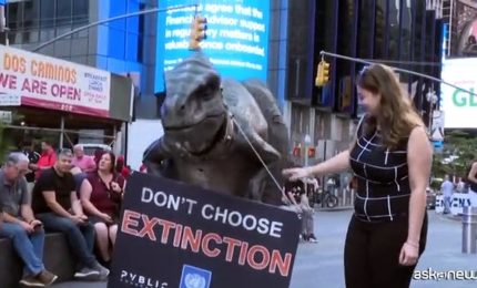 New York, dinosauro per la decarbonizzazione
