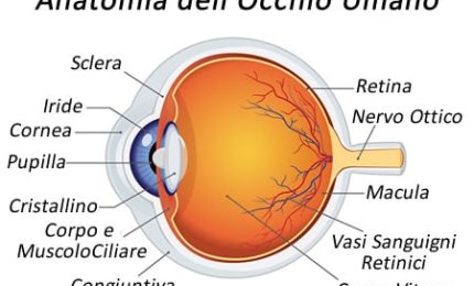 Distrofia retina, fratellini recuperano vista con terapia genica