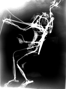 Repertorio X di Nicola Console_opere 2021-2022 (3)