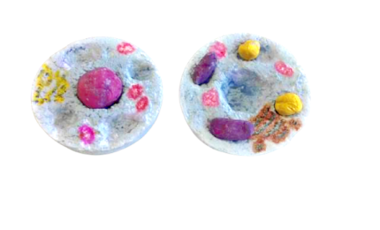 Cellule in 3D: dalla microscopia una tecnica innovativa