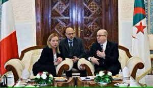 melonialgeri-modified