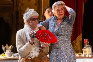 Seagull Dreams© rosellina garbo 2023 _GRG6714