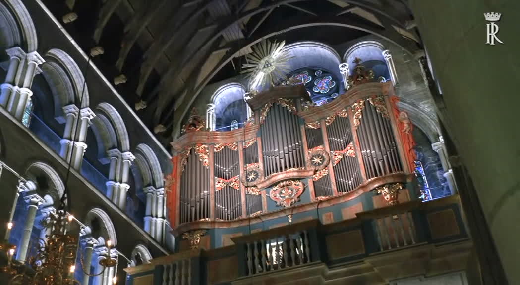 20230512_video_19224429