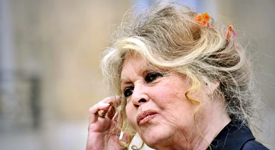 Nuovo ricovero per Brigitte Bardot, cresce l’attenzione sulla salute della diva Nuovo ricovero per Brigitte Bardot, cresce l’attenzione sulla salute della diva