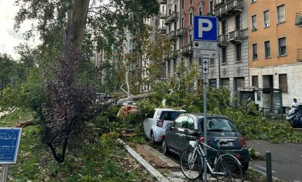 Nubifragio a Milano, i danni: dal cantiere M4 agli alberi sulle rotaie