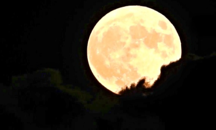 Occhi puntati al cielo, ecco la prima superluna dell'anno