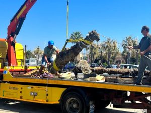 Relitto Scoglio Bottazza - Recupero reperto 2