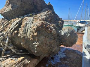 Relitto Scoglio Bottazza - Recupero reperto 3