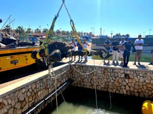 Relitto Scoglio Bottazza - Recupero reperto 4