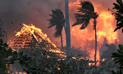Incendi alle Hawaii, turisti in fuga: "Sembrava zona di guerra". Oltre 65 vittime
