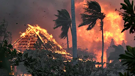 Incendi alle Hawaii, turisti in fuga: “Sembrava zona di guerra”. Oltre 65 vittime