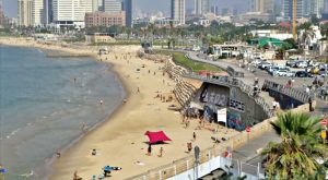 20231028_video_14120735