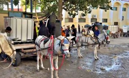 Gaza, la coda dei carri con gli asini davanti ai serbatoi d'acqua