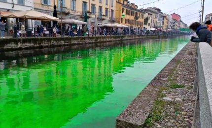 Blitz di Extinction Rebellion in 5 città, acque colorate di verde