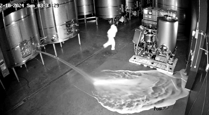 Immagine 2024-02-20 195135_cleanup