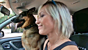 la_campagna_contro_l_abbandono_degli_animali