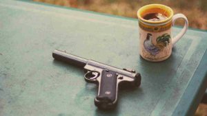 Pistola (Pexels) Ilfogliettone